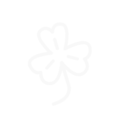 Sketched outline of a four-leaf clover.